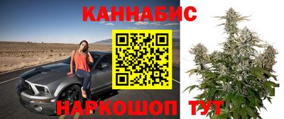 трава Краснознаменск