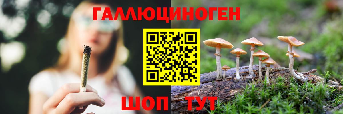 Галлюциногенные грибы Cubensis Лесозаводск